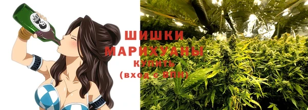 apvp Лиски