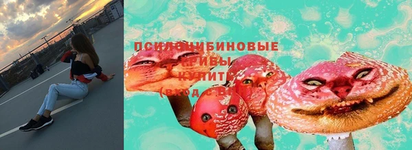 apvp Лиски
